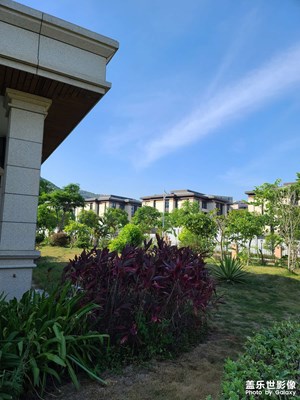 熱帶風(fēng)情