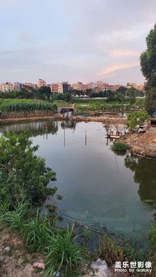 東莞