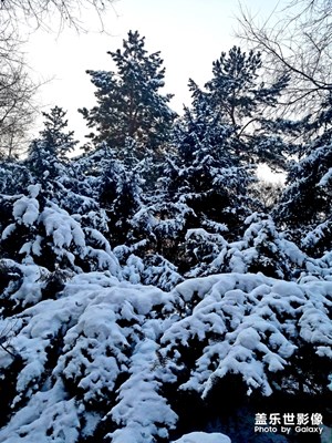 【城市相冊】+

冰城哈爾濱