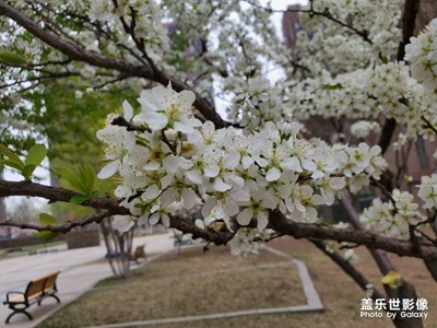 點(diǎn)卯