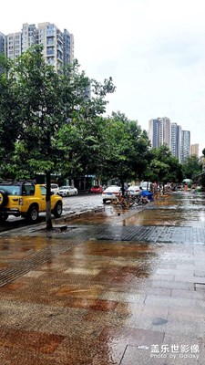 雨后的清晨