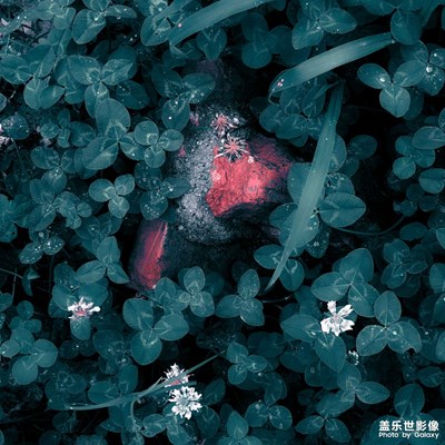 「記錄此刻」＋邊走邊拍