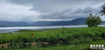 拉市海濕地公園