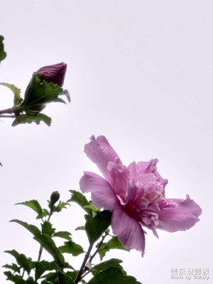 【記錄此刻】晴天雨天