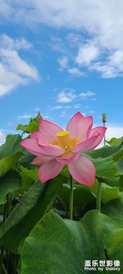 到處都是美麗的風(fēng)景