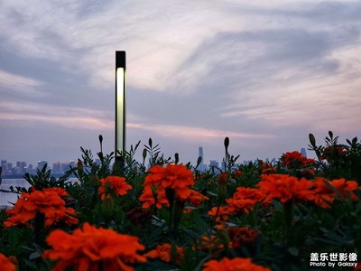 【發(fā)現(xiàn)生活發(fā)現(xiàn)美】隨手拍