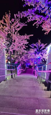 遼陽前杜村夜景