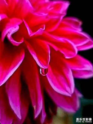 最美的風(fēng)景