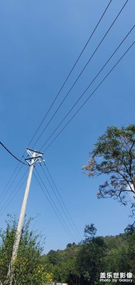 隨拍
