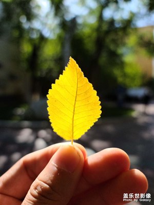 【天下秋】+秋高氣爽