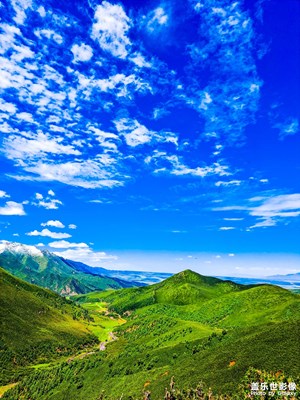 記憶里的夏季