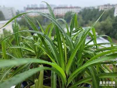 何時(shí)適合開啟一億像素