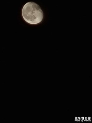 盡力了盡力了盡力了盡力了