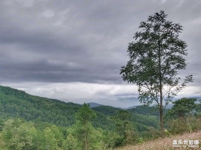 國慶-走走-看看