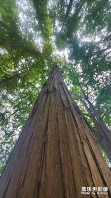 青島游隨手一拍