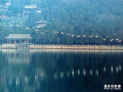 我眼中的頤和園