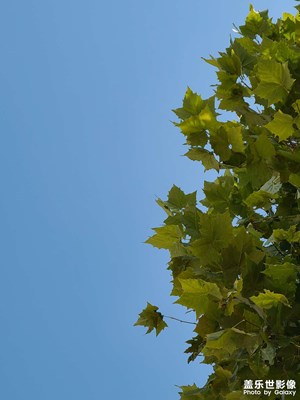 【我生活的地方】+小城生活