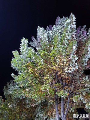 一不留神秋天竟然來了