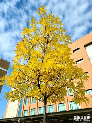 【我生活的地方】大美新疆