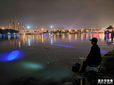 都市夜釣人