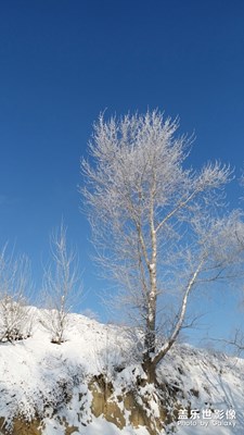 【我生活的地方】+家鄉(xiāng)的冬天