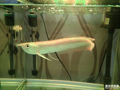 給生活一點(diǎn)情調(diào)