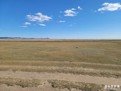 秋季草原自駕游_測試note20不同倍數(shù)拍照