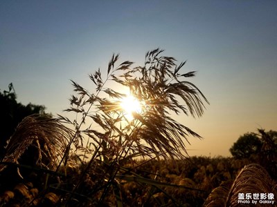走走看看風(fēng)景