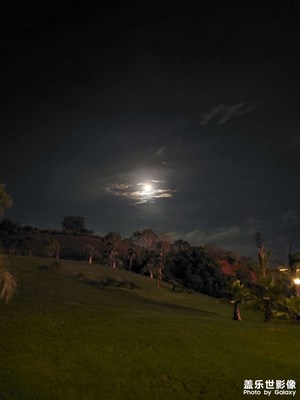 隨手上兩張夜景