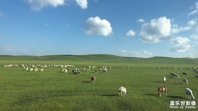 呼倫貝爾大草原（6）