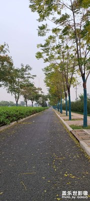 秋風(fēng)落葉??????掃