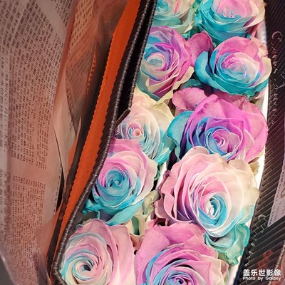 好久不見?。?！