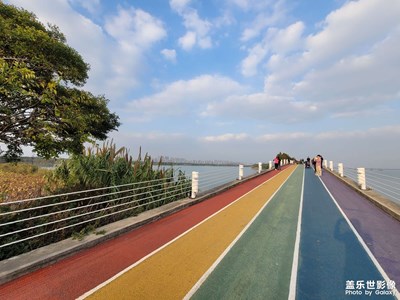 貢湖灣網(wǎng)紅步道