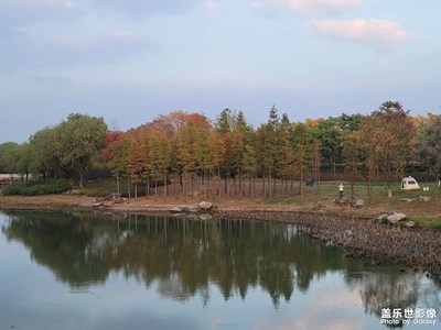 來張感覺不錯的