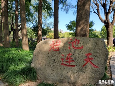 金橋公園