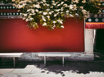 夏天的塔爾寺