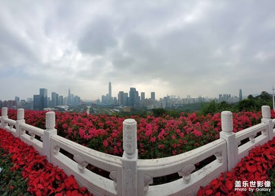 深圳蓮花山公園
