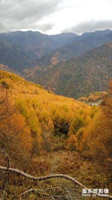 秋意濃