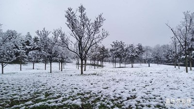 【心動(dòng)的瞬間】+雪后古城西安