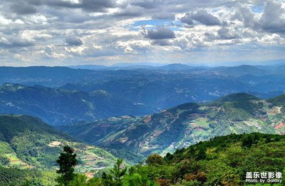 山