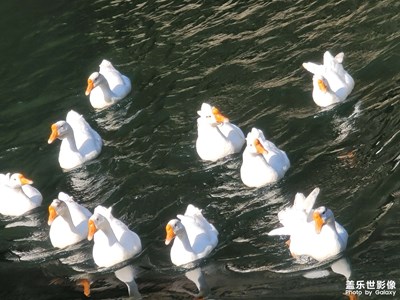 【難忘2020】＋今年最難忘的旅游