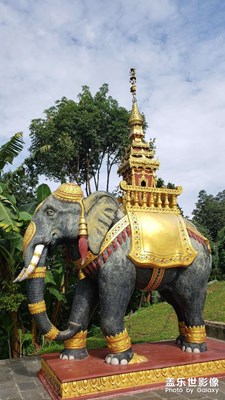 【難忘2020】+云南之旅