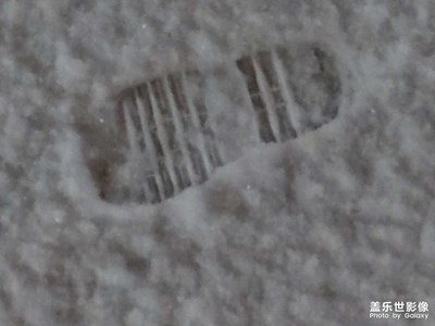 【幸福生活】下雪了