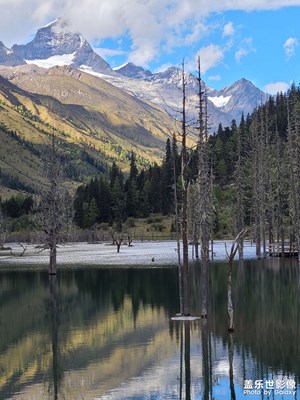 【難忘2020】＋四姑娘山