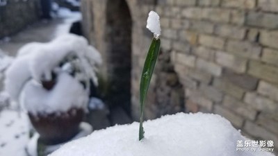 賞雪景