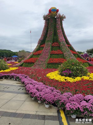 【捕捉精彩】+廣場(chǎng)花展