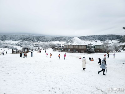 【難忘2020】難忘的重慶仙女山看雪之旅