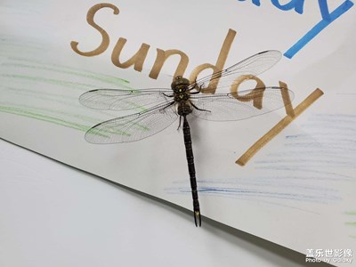 難忘2020—生活碎片