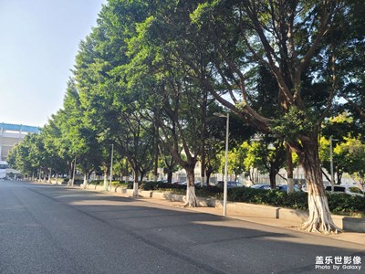 【捕捉精彩】+冬日暖陽(yáng)