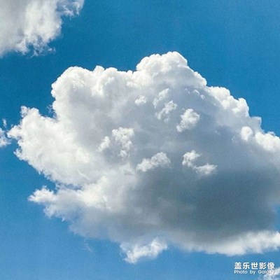 摸魚(yú)雜記